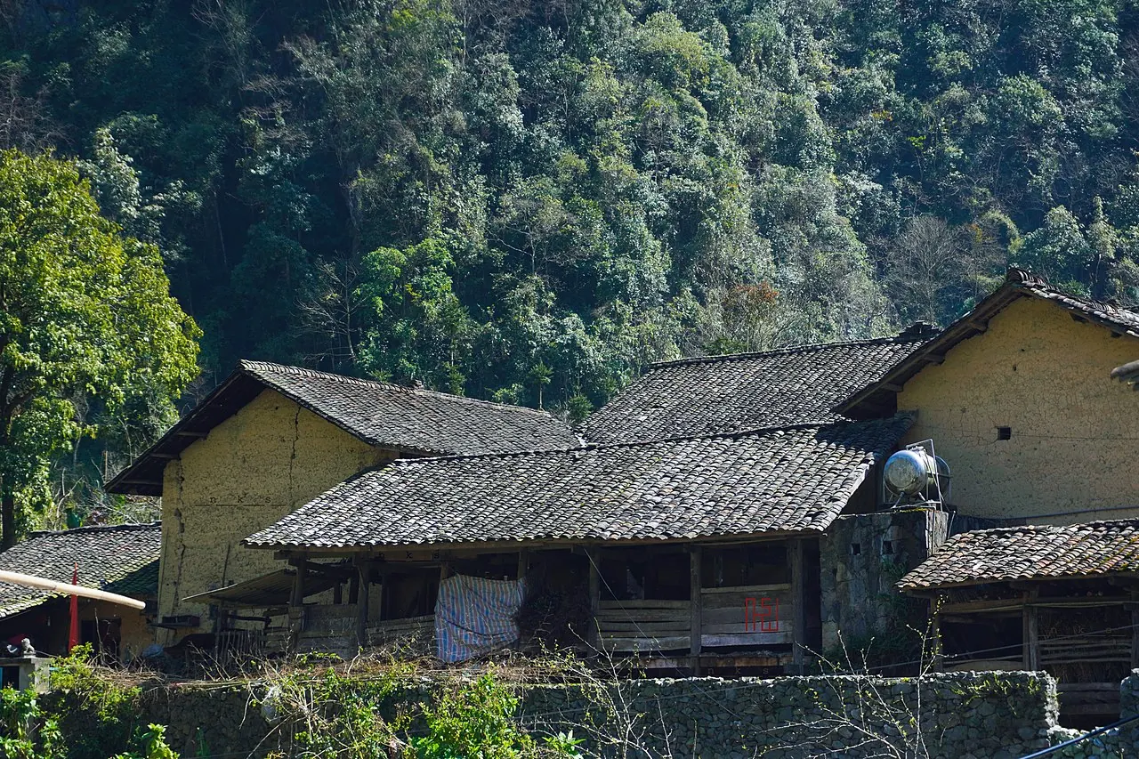 Rice terraces Vietnam